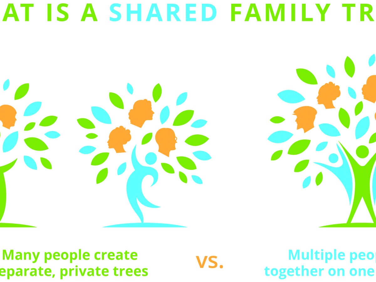 One Tree for All Mankind